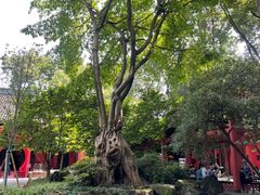 -成都武侯祠博物馆