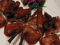 -锦粤宫·精致粤菜(深圳北站店)
