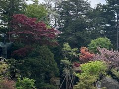 -北海道神宫