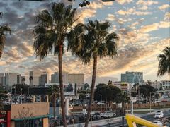 -天山集市(和家乐广场店)