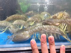 -盒马鲜生(杭州运河上街店)