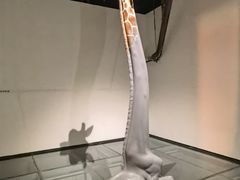 -艺仓美术馆
