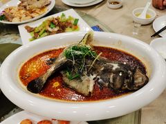 清蒸老虎斑-海晖酒楼·顺德鱼生(荣华店)