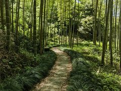 -黄公望隐居地