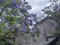 -龙潭水乡