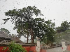 -阳台山自然风景区