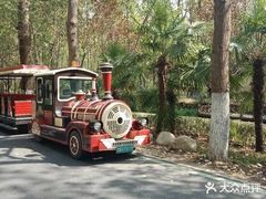 -合肥滨湖国家森林公园