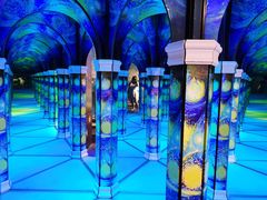 -天津梵高星空艺术馆(天河城旗舰店)