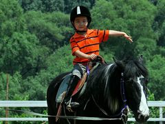 -月河湾马术俱乐部(朝阳店)