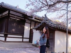 -醍醐寺
