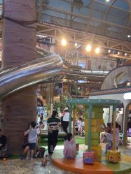 -卡通尼·Safari非洲探索乐园·生日会(金桥国际商业广场店)