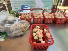 -大自然农场蔬菜草莓采摘园