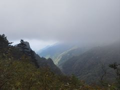 -牛背梁国家森林公园