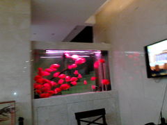 IMAG1301-三禾国际酒店