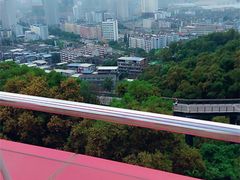-金鸡山公园
