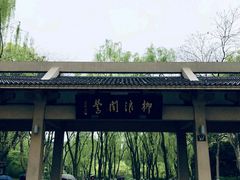-柳浪闻莺公园