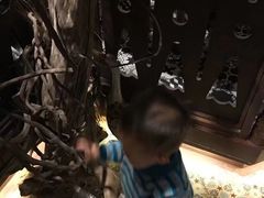 -楼兰新疆主题餐厅(苏州中心店)