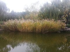 -鹦鹉寺公园