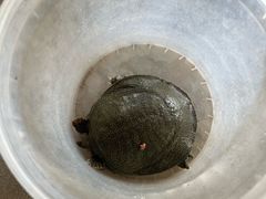 -粮心小农·大头虾亲子生态园(长发店)