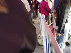 -上海大学生体育中心游泳馆(松江店)