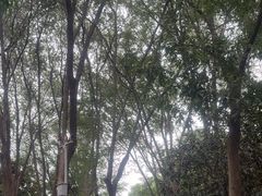 -郑州植物园