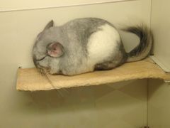 -龙猫仔乐园(惠福东路店)