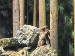 -太阳湾风景区