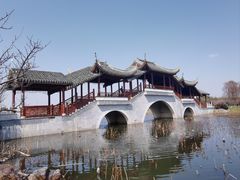 -上海海湾国家森林公园