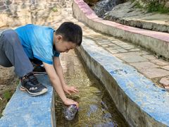 -西部长青自然儿童乐园