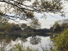 -上海市保健医疗中心(华东疗养院)
