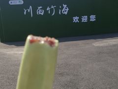 -川西竹海景区