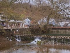 -四明山国家森林公园