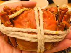 阳澄湖六月黄-珍宝蟹舫·巴城味道(巴城总店)