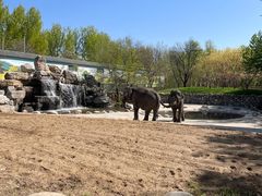 -北京野生动物园