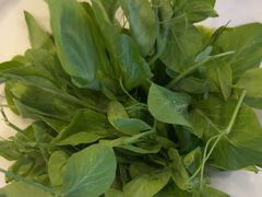 -烹然四季椰子鸡火锅(姚家园万象汇店)