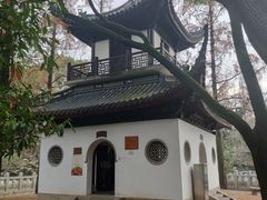 -汇龙潭