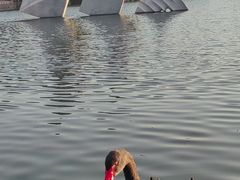 -上海交通大学闵行校区-包玉刚图书馆