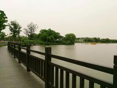 -上海长兴岛郊野公园