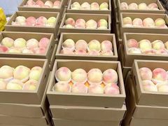 -南汇新场正宗水蜜桃采摘