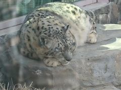 -青藏高原野生动物园