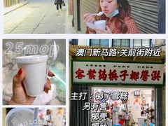 -洪馨椰子
