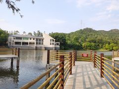 -东莞市大岭山森林公园