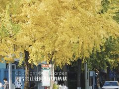 -四川大学(望江校区)
