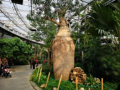 -北京植物园-展览温室