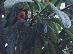 -boundaries籬苑(瑞光创意工厂-贰号院店)