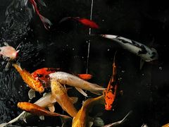 -天津海河悦榕庄·Lobby Lounge大堂吧