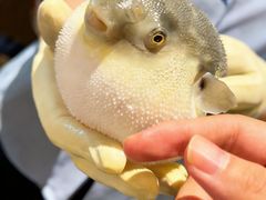 -肆月河豚·淮扬菜·湘菜(华天店)
