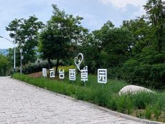 -紫云台香草园