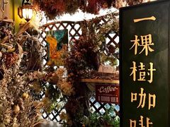 -一棵树咖啡馆(泉乐坊店)