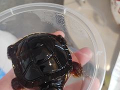 -DQ·蛋糕·冰淇淋(虹口龙之梦店)